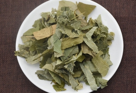 淫羊藿