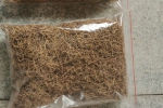 辽宁新宾县细辛含量货大货难组