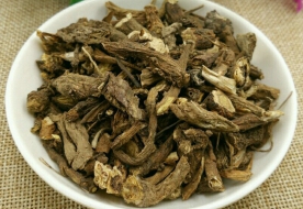 白头翁