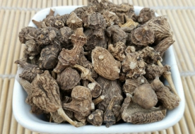 珠子参