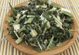 益母草