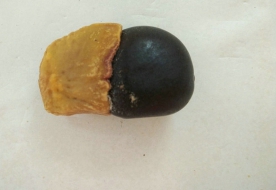 缅茄
