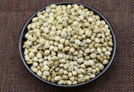 火麻仁