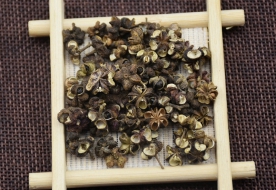 吴茱萸