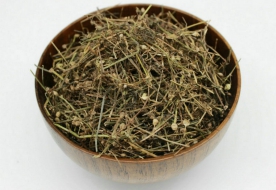 白花蛇舌草