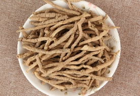 远志