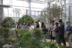 第十二届北京中医药文化宣传周走进世园会 “中医药文化传播大使”进行参观 