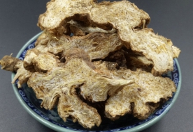 苍术