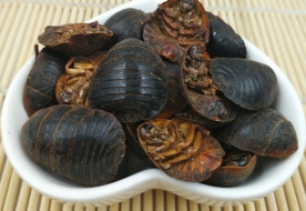 土鳖虫
