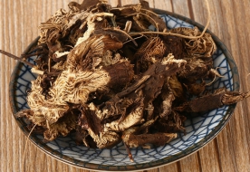 升麻