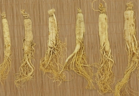 人参