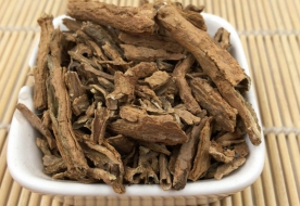 地骨皮
