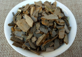 鬼箭羽